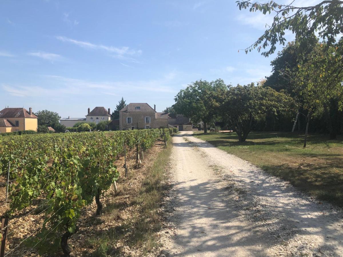 Maison de Pauline, Chablis Vineyard Préhy Extérieur photo