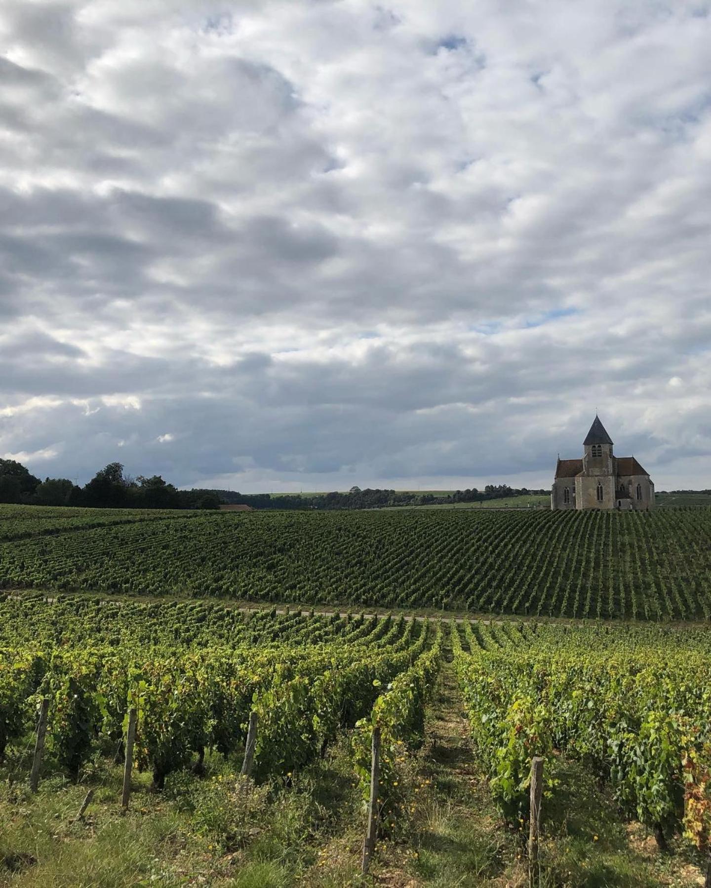 Maison de Pauline, Chablis Vineyard Préhy Chambre photo