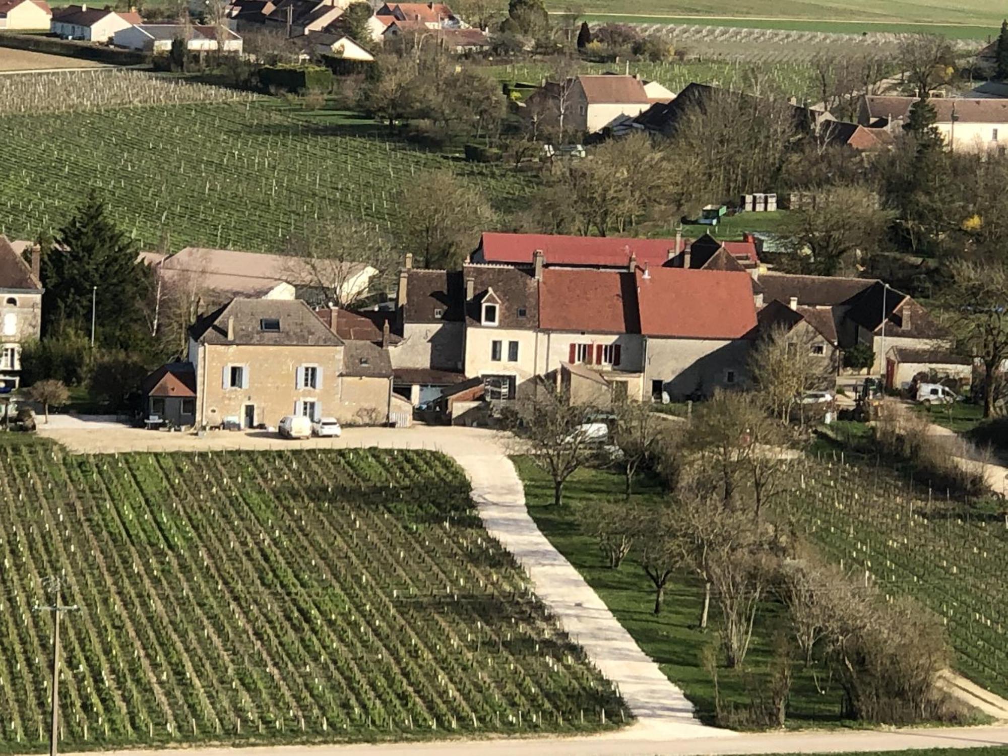 Maison de Pauline, Chablis Vineyard Préhy Extérieur photo